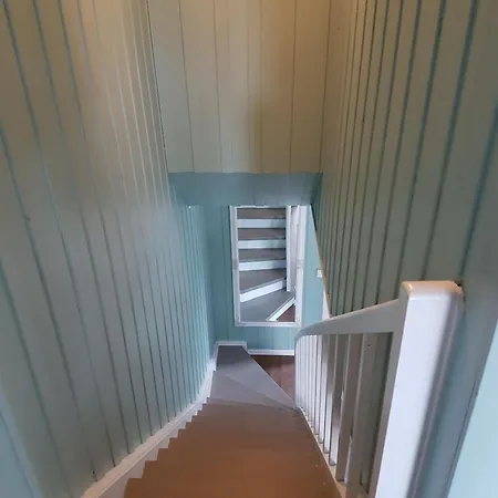 Comfortable Zone 홈스테이 회네포스